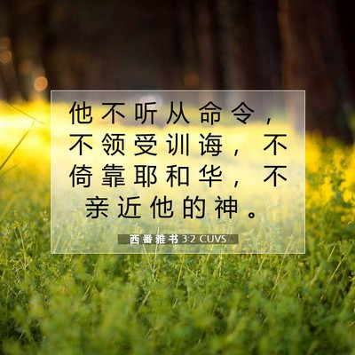 Picture 07 - 西 番 雅 书 3:2 CUVS - 他 不 听 从 命 令 ， 不 领 受 训 诲 - Bible Verse Picture