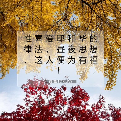 Picture 07 - 诗 篇 1:2 CUVS - 惟 喜 爱 耶 和 华 的 律 法 ， 昼 夜 - Bible Verse Picture
