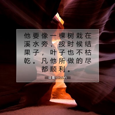 Picture 07 - 诗 篇 1:3 CUVS - 他 要 像 一 棵 树 栽 在 溪 水 旁 ， - Bible Verse Picture