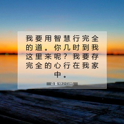 Picture 07 - 诗 篇 101:2 CUVS - 我 要 用 智 慧 行 完 全 的 道 。 你 - Bible Verse Picture