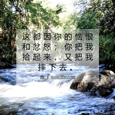 Picture 07 - 诗 篇 102:10 CUVS - 这 都 因 你 的 恼 恨 和 忿 怒 ； 你 - Bible Verse Picture
