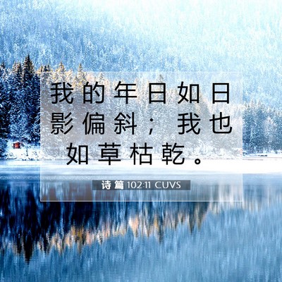 Picture 07 - 诗 篇 102:11 CUVS - 我 的 年 日 如 日 影 偏 斜 ； 我 也 - Bible Verse Picture