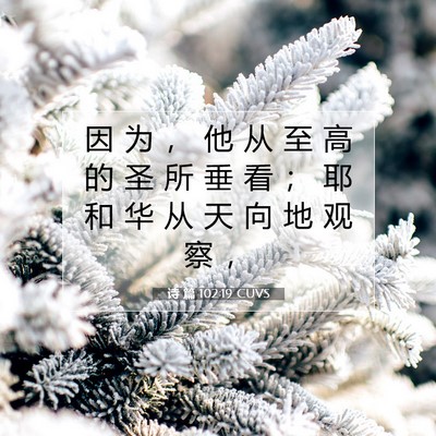 Picture 07 - 诗 篇 102:19 CUVS - 因 为 ， 他 从 至 高 的 圣 所 垂 看 - Bible Verse Picture