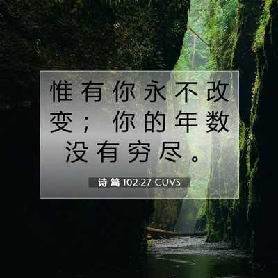 Picture 07 - 诗 篇 102:27 CUVS - 惟 有 你 永 不 改 变 ； 你 的 年 数 - Bible Verse Picture