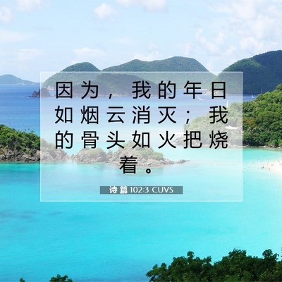 Picture 07 - 诗 篇 102:3 CUVS - 因 为 ， 我 的 年 日 如 烟 云 消 灭 - Bible Verse Picture