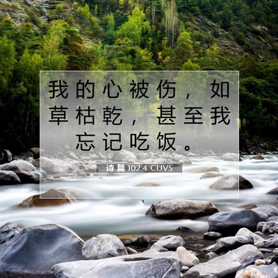 Picture 07 - 诗 篇 102:4 CUVS - 我 的 心 被 伤 ， 如 草 枯 乾 ， 甚 - Bible Verse Picture