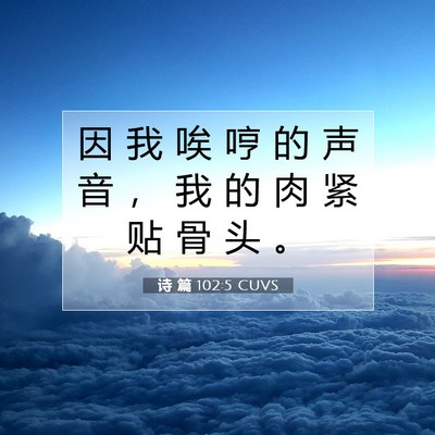 Picture 07 - 诗 篇 102:5 CUVS - 因 我 唉 哼 的 声 音 ， 我 的 肉 紧 - Bible Verse Picture