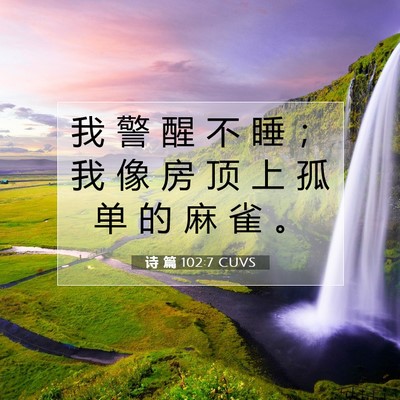 Picture 07 - 诗 篇 102:7 CUVS - 我 警 醒 不 睡 ； 我 像 房 顶 上 孤 - Bible Verse Picture