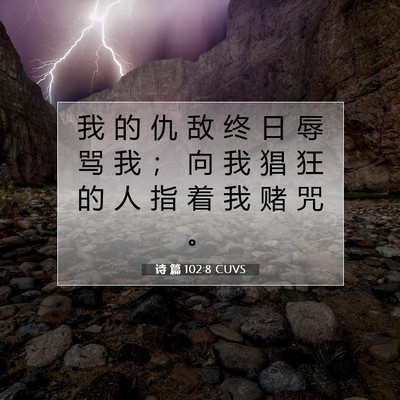 Picture 07 - 诗 篇 102:8 CUVS - 我 的 仇 敌 终 日 辱 骂 我 ； 向 我 - Bible Verse Picture