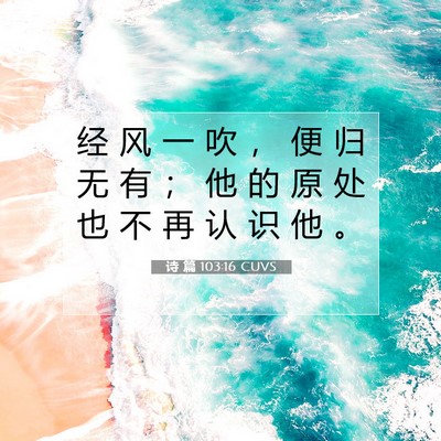 Picture 07 - 诗 篇 103:16 CUVS - 经 风 一 吹 ， 便 归 无 有 ； 他 的 - Bible Verse Picture