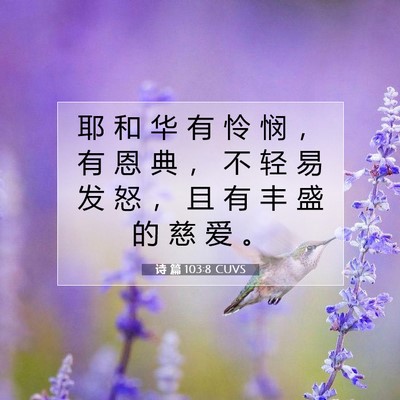 Picture 07 - 诗 篇 103:8 CUVS - 耶 和 华 有 怜 悯 ， 有 恩 典 ， 不 - Bible Verse Picture