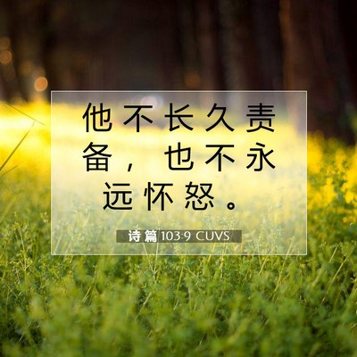 Picture 07 - 诗 篇 103:9 CUVS - 他 不 长 久 责 备 ， 也 不 永 远 怀 - Bible Verse Picture