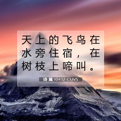 Picture 07 - 诗 篇 104:12 CUVS - 天 上 的 飞 鸟 在 水 旁 住 宿 ， 在 - Bible Verse Picture