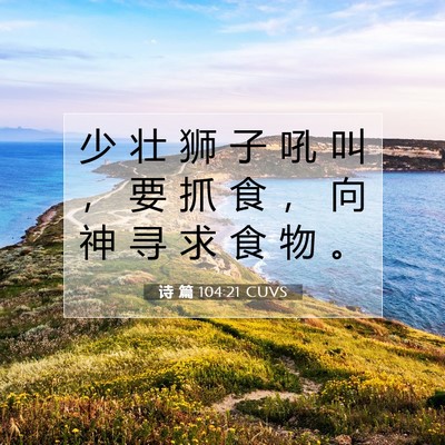 Picture 07 - 诗 篇 104:21 CUVS - 少 壮 狮 子 吼 叫 ， 要 抓 食 ， 向 - Bible Verse Picture