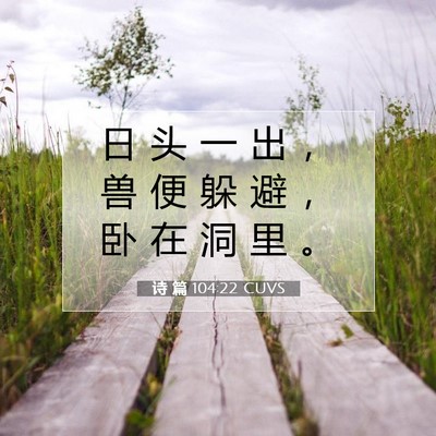 Picture 07 - 诗 篇 104:22 CUVS - 日 头 一 出 ， 兽 便 躲 避 ， 卧 在 - Bible Verse Picture