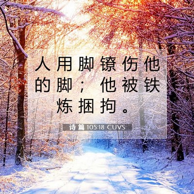 Picture 07 - 诗 篇 105:18 CUVS - 人 用 脚 镣 伤 他 的 脚 ； 他 被 铁 - Bible Verse Picture