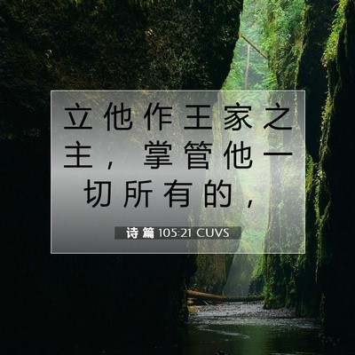 Picture 07 - 诗 篇 105:21 CUVS - 立 他 作 王 家 之 主 ， 掌 管 他 一 - Bible Verse Picture