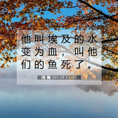 Picture 07 - 诗 篇 105:29 CUVS - 他 叫 埃 及 的 水 变 为 血 ， 叫 他 - Bible Verse Picture