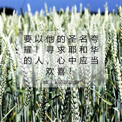 Picture 07 - 诗 篇 105:3 CUVS - 要 以 他 的 圣 名 夸 耀 ！ 寻 求 耶 - Bible Verse Picture