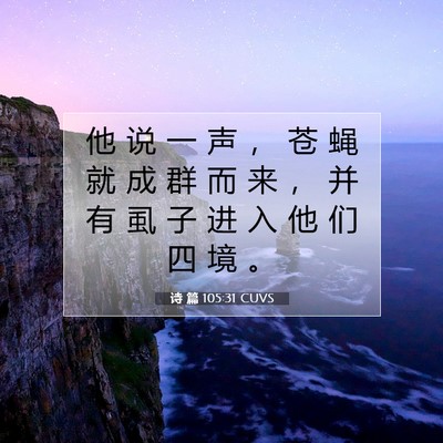 Picture 07 - 诗 篇 105:31 CUVS - 他 说 一 声 ， 苍 蝇 就 成 群 而 来 - Bible Verse Picture