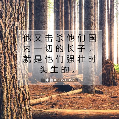 Picture 07 - 诗 篇 105:36 CUVS - 他 又 击 杀 他 们 国 内 一 切 的 长 - Bible Verse Picture