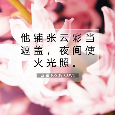 Picture 07 - 诗 篇 105:39 CUVS - 他 铺 张 云 彩 当 遮 盖 ， 夜 间 使 - Bible Verse Picture