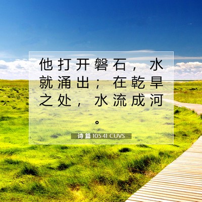 Picture 07 - 诗 篇 105:41 CUVS - 他 打 开 磐 石 ， 水 就 涌 出 ； 在 - Bible Verse Picture