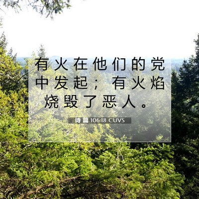 Picture 07 - 诗 篇 106:18 CUVS - 有 火 在 他 们 的 党 中 发 起 ； 有 - Bible Verse Picture