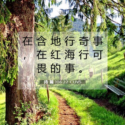 Picture 07 - 诗 篇 106:22 CUVS - 在 含 地 行 奇 事 ， 在 红 海 行 可 - Bible Verse Picture