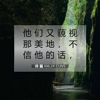Picture 07 - 诗 篇 106:24 CUVS - 他 们 又 藐 视 那 美 地 ， 不 信 他 - Bible Verse Picture
