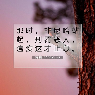 Picture 07 - 诗 篇 106:30 CUVS - 那 时 ， 非 尼 哈 站 起 ， 刑 罚 恶 - Bible Verse Picture