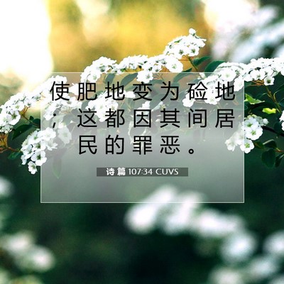 Picture 07 - 诗 篇 107:34 CUVS - 使 肥 地 变 为 硷 地 ； 这 都 因 其 - Bible Verse Picture