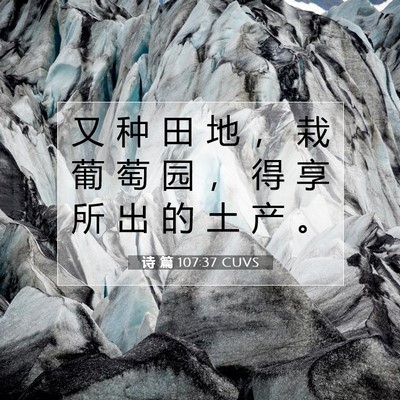 Picture 07 - 诗 篇 107:37 CUVS - 又 种 田 地 ， 栽 葡 萄 园 ， 得 享 - Bible Verse Picture