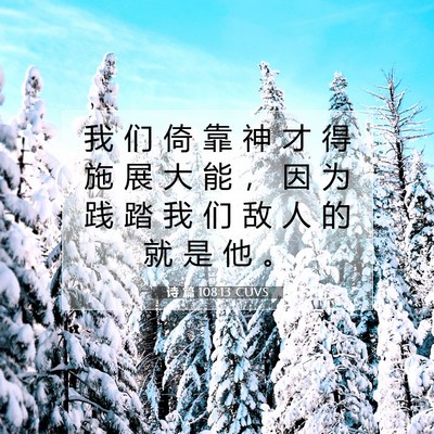 Picture 07 - 诗 篇 108:13 CUVS - 我 们 倚 靠 神 才 得 施 展 大 能 ， - Bible Verse Picture