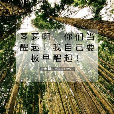 Picture 07 - 诗 篇 108:2 CUVS - 琴 瑟 啊 ， 你 们 当 醒 起 ！ 我 自 - Bible Verse Picture