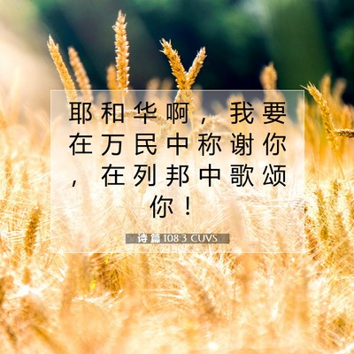 Picture 07 - 诗 篇 108:3 CUVS - 耶 和 华 啊 ， 我 要 在 万 民 中 称 - Bible Verse Picture