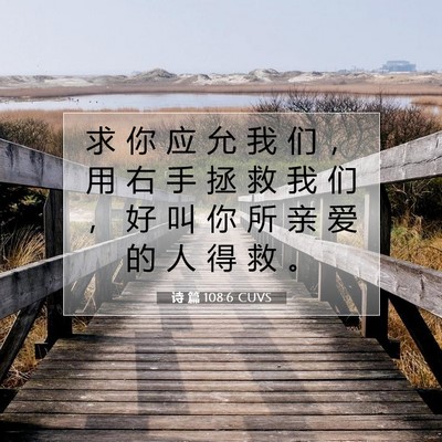 Picture 07 - 诗 篇 108:6 CUVS - 求 你 应 允 我 们 ， 用 右 手 拯 救 - Bible Verse Picture