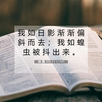 Picture 07 - 诗 篇 109:23 CUVS - 我 如 日 影 渐 渐 偏 斜 而 去 ； 我 - Bible Verse Picture