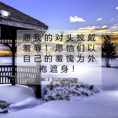 Picture 07 - 诗 篇 109:29 CUVS - 愿 我 的 对 头 披 戴 羞 辱 ！ 愿 他 - Bible Verse Picture