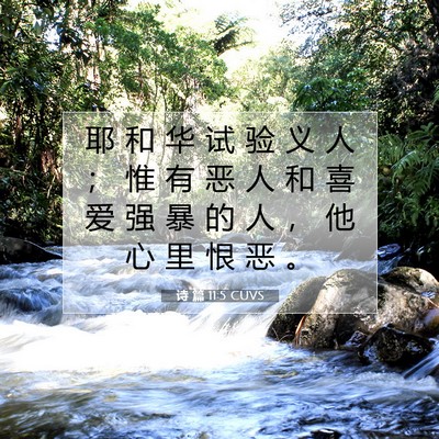 Picture 07 - 诗 篇 11:5 CUVS - 耶 和 华 试 验 义 人 ； 惟 有 恶 人 - Bible Verse Picture