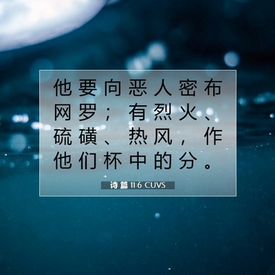 Picture 07 - 诗 篇 11:6 CUVS - 他 要 向 恶 人 密 布 网 罗 ； 有 烈 - Bible Verse Picture
