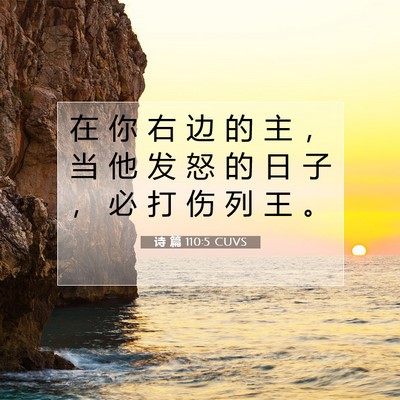 Picture 07 - 诗 篇 110:5 CUVS - 在 你 右 边 的 主 ， 当 他 发 怒 的 - Bible Verse Picture