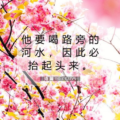 Picture 07 - 诗 篇 110:7 CUVS - 他 要 喝 路 旁 的 河 水 ， 因 此 必 - Bible Verse Picture