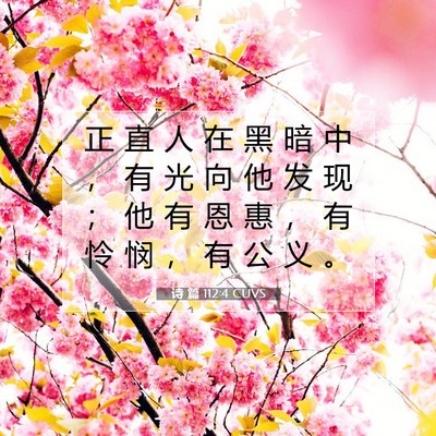 Picture 07 - 诗 篇 112:4 CUVS - 正 直 人 在 黑 暗 中 ， 有 光 向 他 - Bible Verse Picture