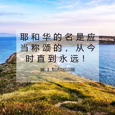 Picture 07 - 诗 篇 113:2 CUVS - 耶 和 华 的 名 是 应 当 称 颂 的 ， - Bible Verse Picture