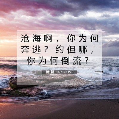 Picture 07 - 诗 篇 114:5 CUVS - 沧 海 啊 ， 你 为 何 奔 逃 ？ 约 但 - Bible Verse Picture
