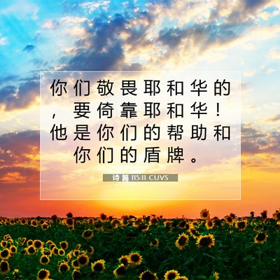 Picture 07 - 诗 篇 115:11 CUVS - 你 们 敬 畏 耶 和 华 的 ， 要 倚 靠 - Bible Verse Picture