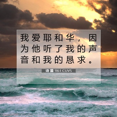 Picture 07 - 诗 篇 116:1 CUVS - 我 爱 耶 和 华 ， 因 为 他 听 了 我 - Bible Verse Picture