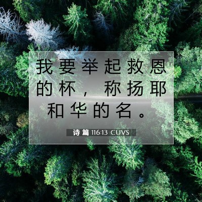 Picture 07 - 诗 篇 116:13 CUVS - 我 要 举 起 救 恩 的 杯 ， 称 扬 耶 - Bible Verse Picture