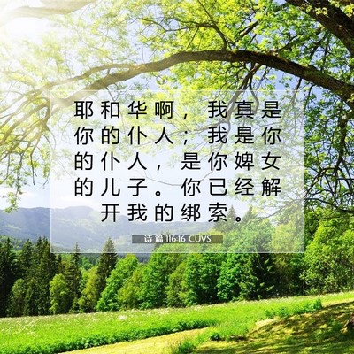 Picture 07 - 诗 篇 116:16 CUVS - 耶 和 华 啊 ， 我 真 是 你 的 仆 人 - Bible Verse Picture